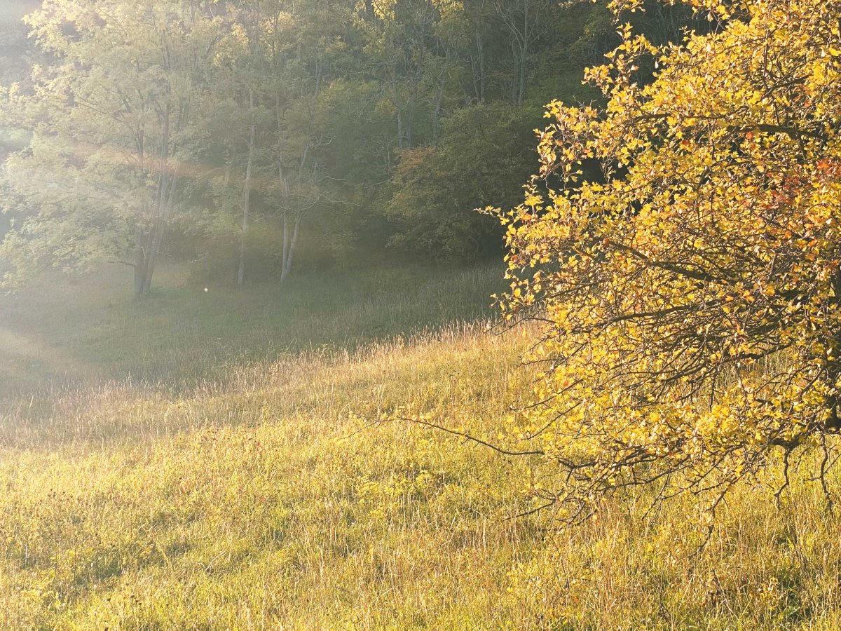 5 Ideen für eine&nbsp;Herbstwanderung