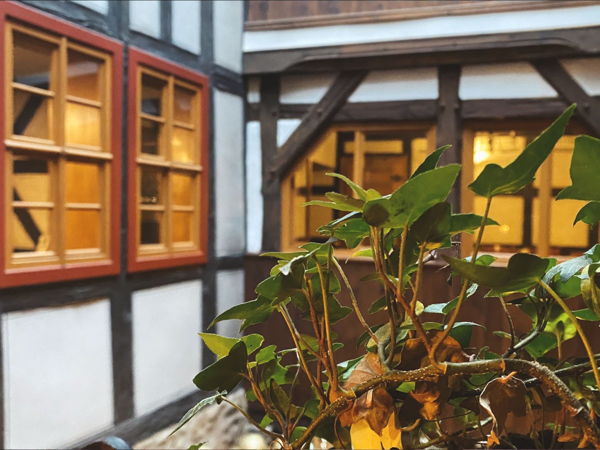 Genuss mit allen Sinnen im Herzen&nbsp;Jenas