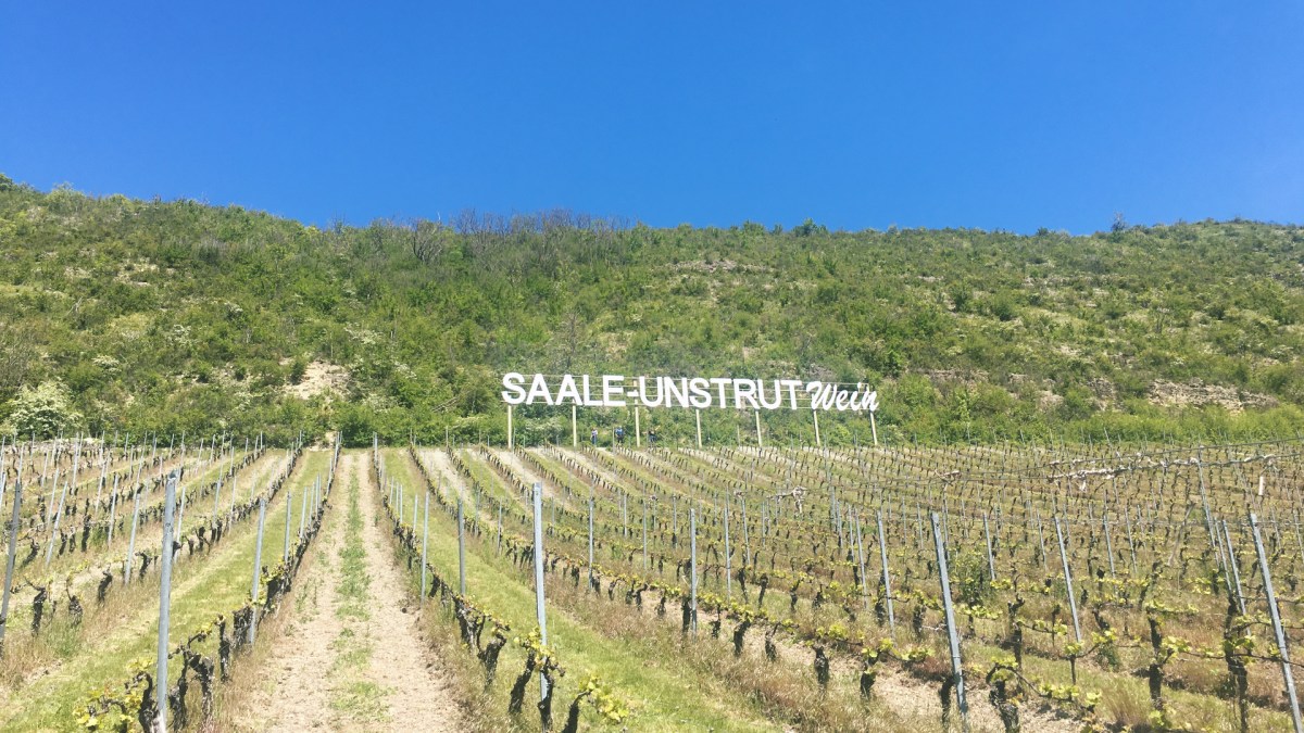 Ab auf die&nbsp;Weinmeile!